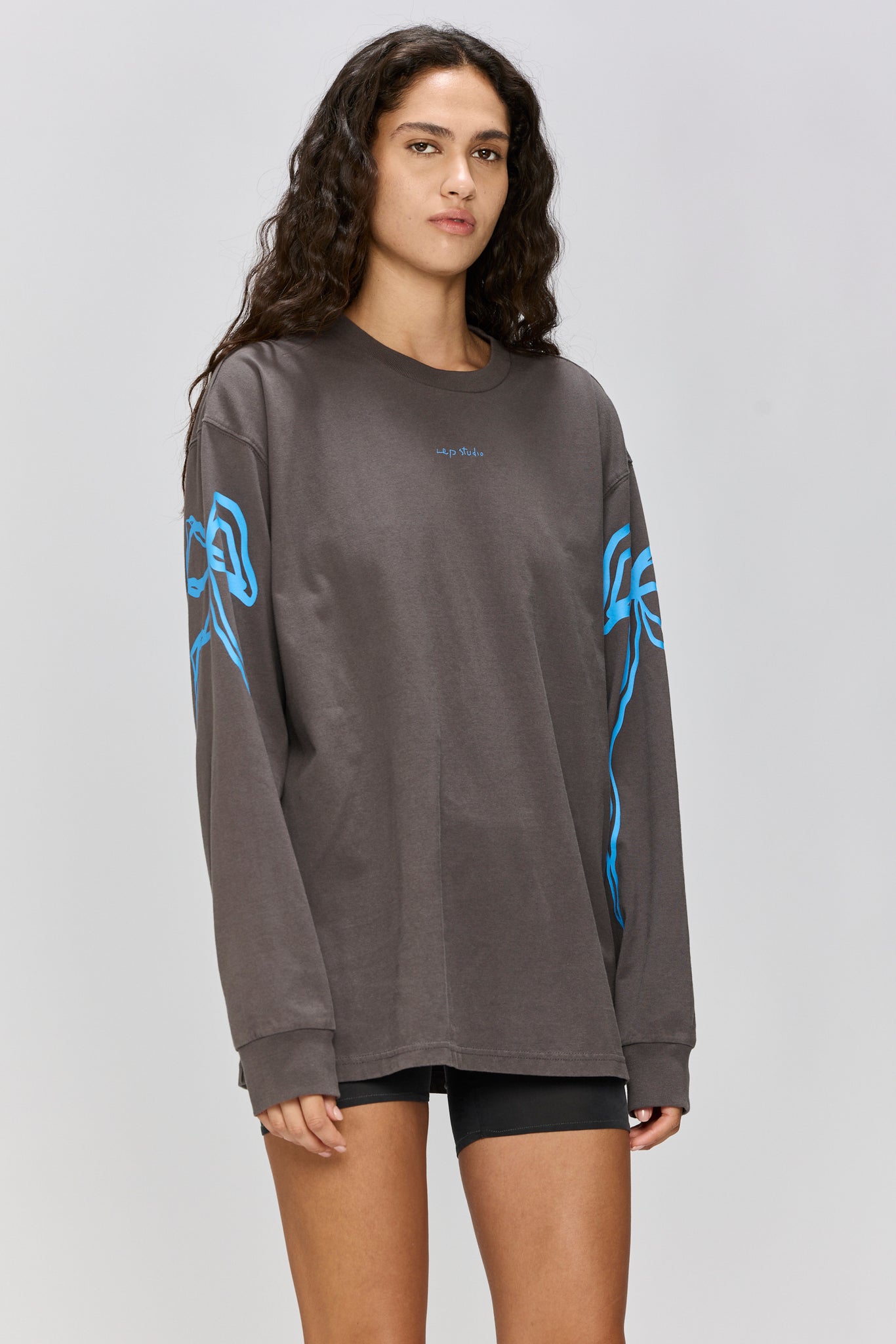 EVERYTHING NICE - LONG SLEEVE T GRAY