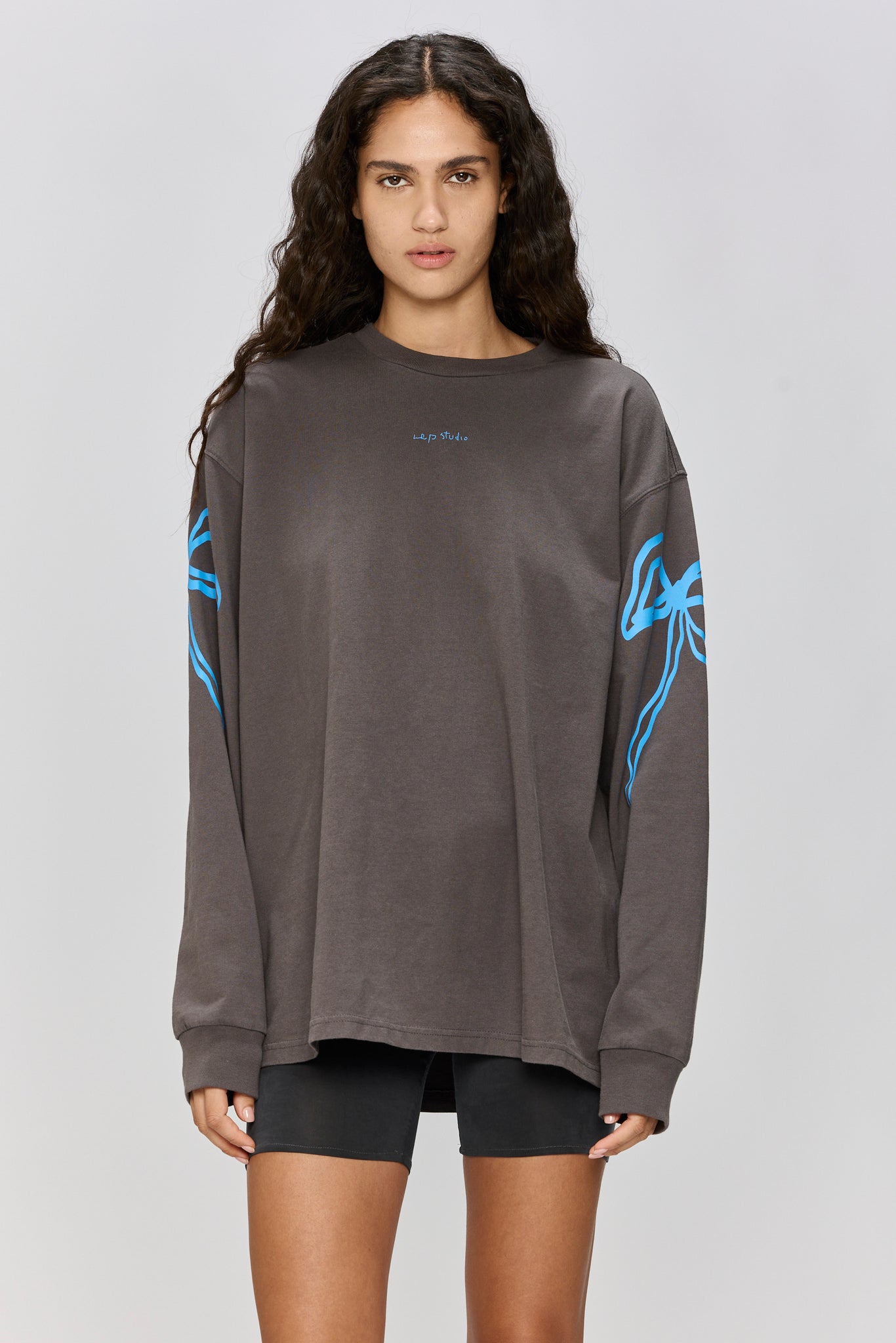 EVERYTHING NICE - LONG SLEEVE T GRAY