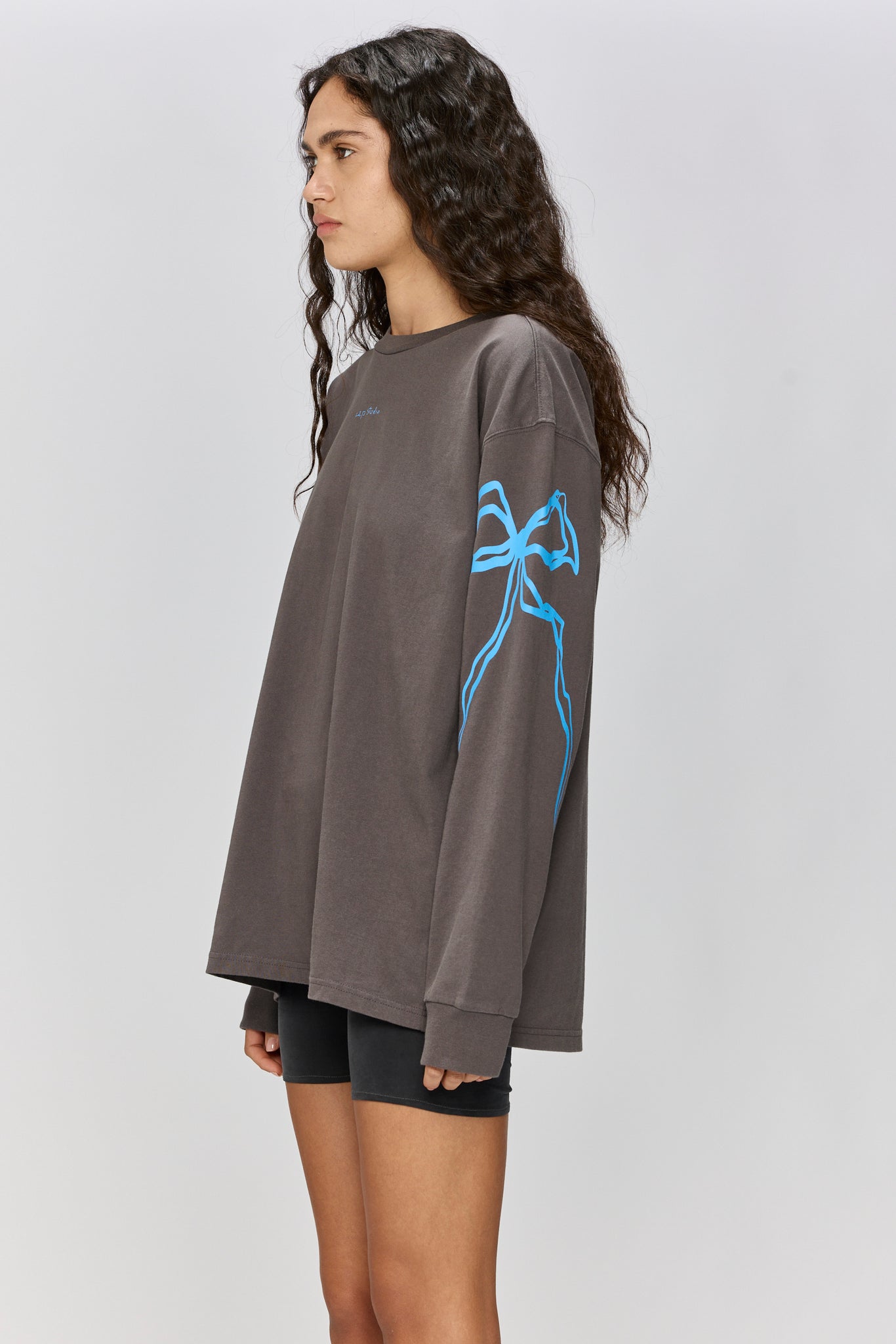 EVERYTHING NICE - LONG SLEEVE T GRAY