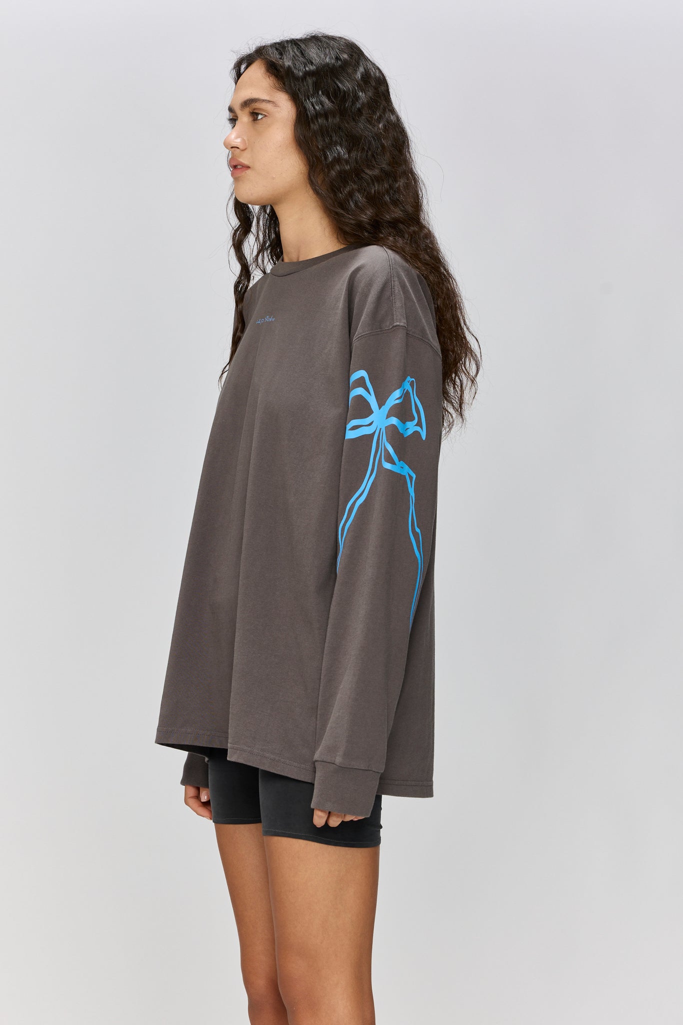 EVERYTHING NICE - LONG SLEEVE T GRAY