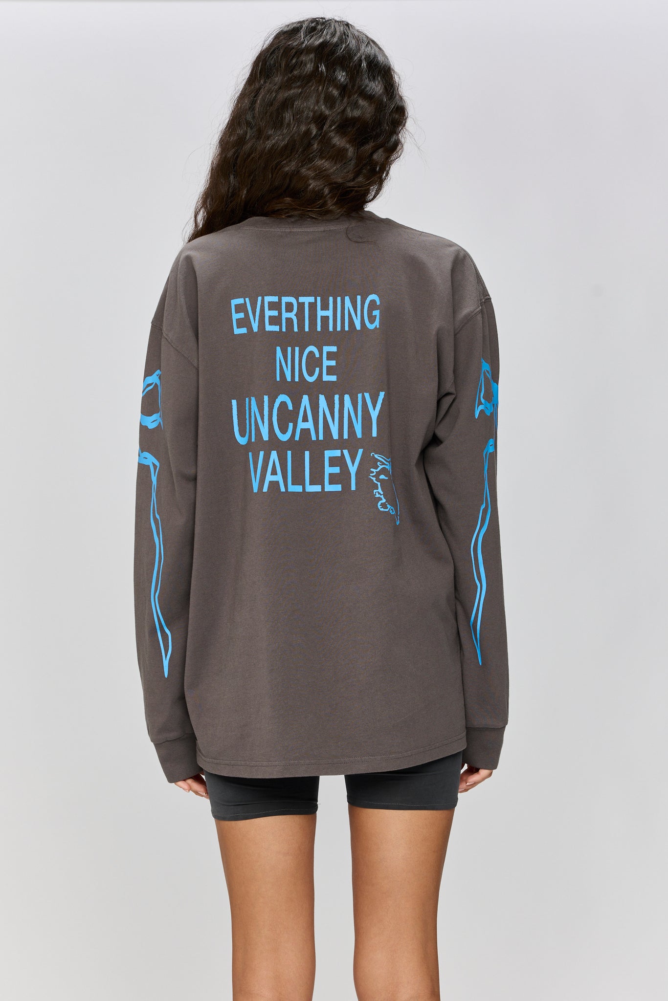 EVERYTHING NICE - LONG SLEEVE T GRAY